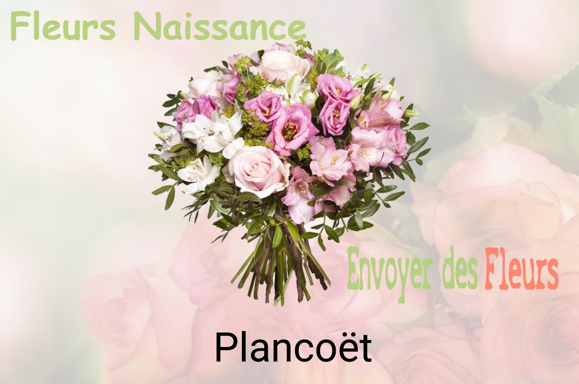 Bouquet de fleurs de naissance livré à Plancoët
